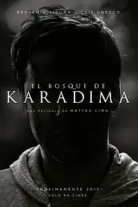 Постер к фильму «El Bosque de Karadima (2015)»