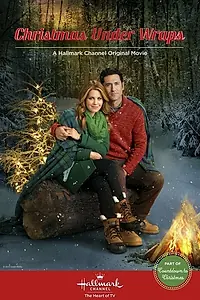 Главный постер фильма «Засекреченное Рождество (2014)»