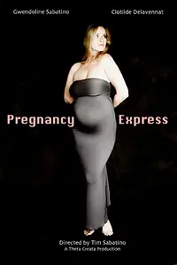 Постер к фильму «Pregnancy Express (2014)»