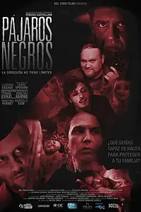 Главный постер фильма «Pájaros Negros (2015)»