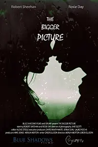 Главный постер фильма «The Bigger Picture (2016)»