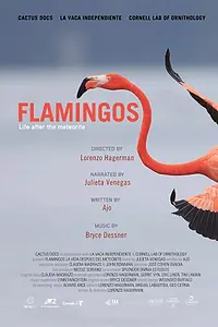 Постер к фильму «Фламинго: Жизнь после метеорита (2025)»
