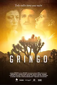 Постер к фильму «Gringo (2016)»
