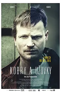 Главный постер фильма «Кобры и ужи (2015)»