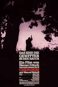 Главный постер фильма «Das sind die Gewitter in der Natur (1988)»
