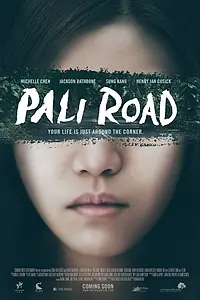 Постер к фильму «Дорога на Пали (2015)»