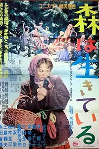 Постер к фильму «Двенадцать месяцев (1956)»