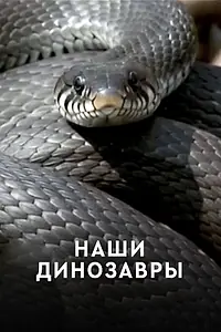 Главный постер фильма «Наши динозавры (2012)»
