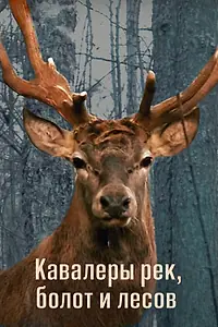Главный постер фильма «Кавалеры рек, болот и лесов (2012)»