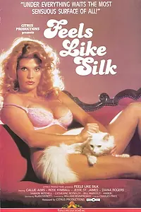 Постер к фильму «Feels Like Silk (1983)»