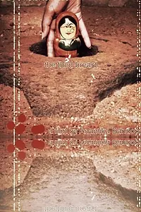 Постер к фильму «The Third Breast (2017)»