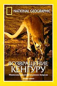 Постер к фильму «National Geographic: Возвращение кенгуру (1998)»