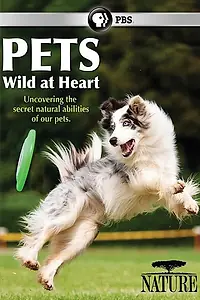 Постер к сериалу «Pets: Wild at Heart (2015)»