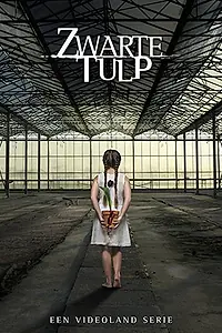 Постер к сериалу «Чёрный тюльпан (2015 - 2016)»