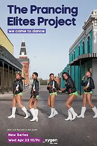 Постер к сериалу «The Prancing Elites Project (2015)»