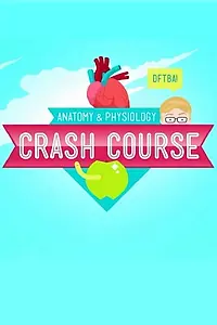 Главный постер сериала «Crash Course: Anatomy & Physiology (2015)»