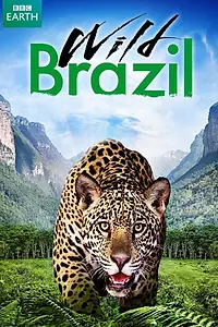Постер к сериалу «Дикая Бразилия (2014)»