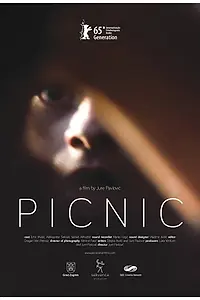 Постер к фильму «Пикник (2015)»