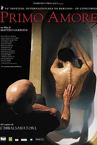Постер к фильму «Первая любовь (2003)»