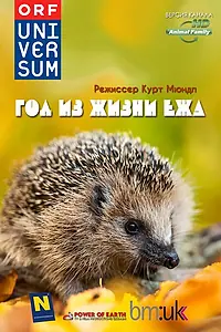 Главный постер фильма «Год из жизни ежа (2009)»