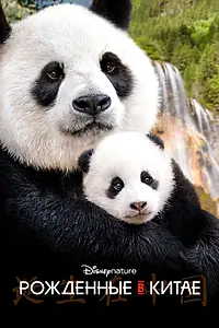 Главный постер фильма «Рождённые в Китае (2016)»