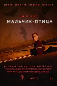 Постер к фильму «Мальчик-птица (2025)»