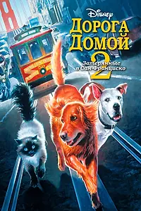 Постер к фильму «Дорога домой 2: Затерянные в Сан-Франциско (1996)»