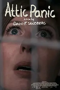 Постер к фильму «Паника на чердаке (2015)»