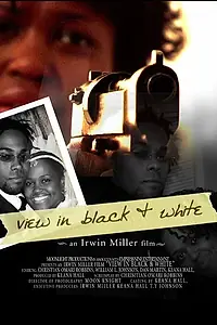 Постер к фильму «View in Black & White (2005)»