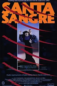 Постер к фильму «Святая кровь (1989)»