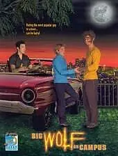 Постер к сериалу «Томми-оборотень (1999 - 2002)»