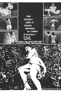 Постер к фильму «Зрелость (1967)»