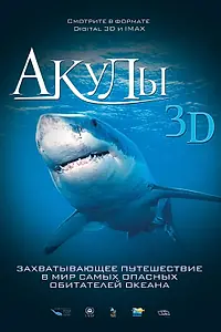 Постер к фильму «Акулы 3D (2004)»