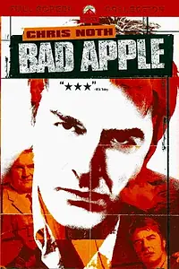 Постер к фильму «Агент под прикрытием (2004)»