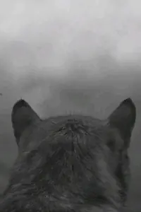Постер к фильму «From the Mountain (2014)»