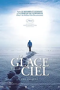 Главный постер фильма «Лёд и небо (2015)»