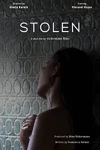 Постер к фильму «Stolen (2015)»
