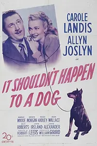 Главный постер фильма «Этого не должно было случиться с псом (1946)»