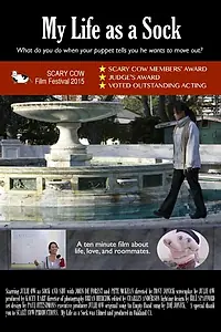 Постер к фильму «My Life as a Sock (2015)»