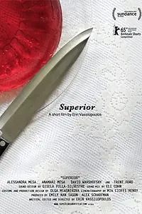 Главный постер фильма «Superior SF15-1538 (2015)»
