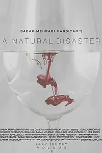 Постер к фильму «A Natural Disaster (2018)»