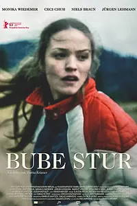 Постер к фильму «Bube Stur (2015)»