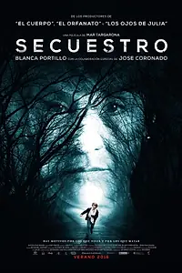 Постер к фильму «Похищение (2015)»