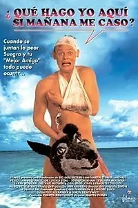 Постер к фильму «Особенности холостяцкой вечеринки (1994)»
