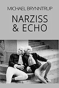 Постер к фильму «Нарцисс и эхо (1990)»