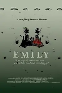 Постер к фильму «Emily (2015)»
