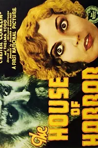 Постер к фильму «Дом страха (1929)»