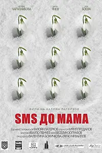 Постер к фильму «Message to Mom (2015)»