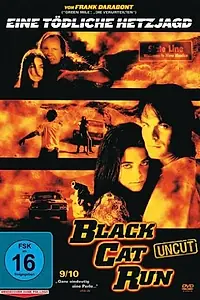 Главный постер фильма «Бег черной кошки (1998)»