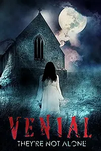 Постер к фильму «Venial (2014)»